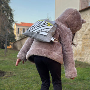 Salut • Zebra – Image 4